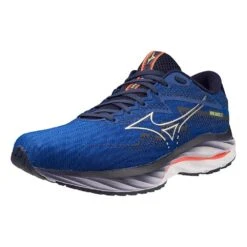 Mizuno Men's Wave Rider 27 Running Shoe - Surf The Web/White - Regular (D) 14 Mizuno Men's Wave Rider 27 Running Shoe - Surf The Web/White - Regular (D) -Sports Shoes 411415 5E00 07