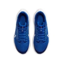 Nike Youth Pegasus 40 Running Shoe - Game Royal/White/Deep Royal - Regular (D) -Sports Shoes AURORA DX2498 400 PHCTH001 2000