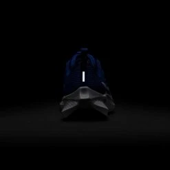 Nike Youth Pegasus 40 Running Shoe - Game Royal/White/Deep Royal - Regular (D) -Sports Shoes AURORA DX2498 400 PHSBH200 2000