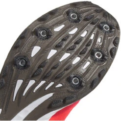 ADIDAS Women's Adizero XC Sprint Spike - Signal Pink/Core Black/TWR White- Regular (B) -Sports Shoes EG8462 04