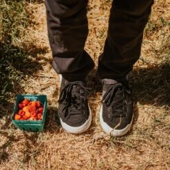 Men's X-Scape NBK Low Sneaker - Black/White - Regular (D) -Sports Shoes mens x scape nbk low black white ls 1 800x 3a6d1a12 7fd3 4c79 ac9d 13c24d0fd9ec