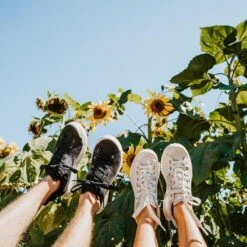 Men's X-Scape NBK Low Sneaker - Black/White - Regular (D) -Sports Shoes mens x scape nbk low black white ls 2 800x 19e1401c ae96 4599 a957 64c89760f645