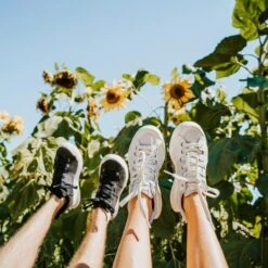 Women's X-SCAPE NBK Low Sneaker - Blanc/Light Grey - Regular (B) -Sports Shoes womens x scape nbk low blanc light grey ls 3 800x 70e971bc eee0 4189 bdde 434a0688a562